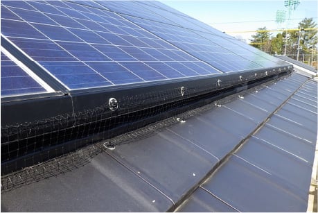 鳩避け工事の内容