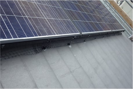 鳩避け工事の内容